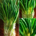 Growing Green Onions First Image